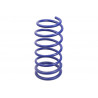 JUEGO DE RESORTES DE SUSPENSION (ESPIRALES) AG 213047K