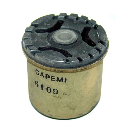BUJE DE PUNTA DE EJE CAPEMI 6109