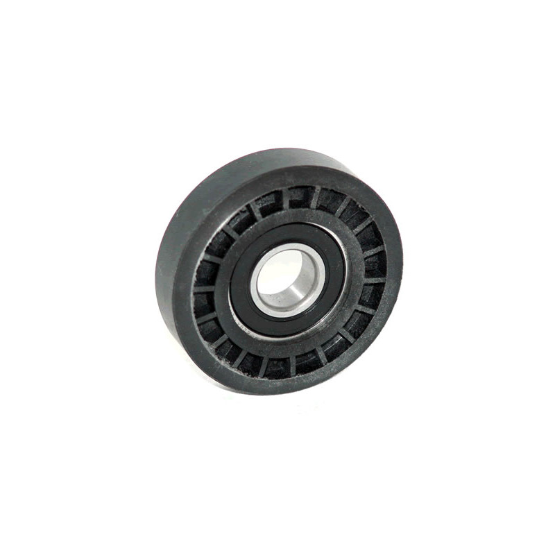 POLEA FIJA DE CORREA DE ACCESORIOS BTP 11012P