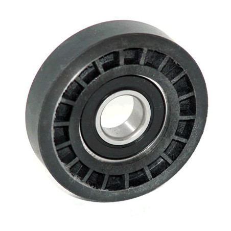 POLEA FIJA DE CORREA DE ACCESORIOS BTP 11012P