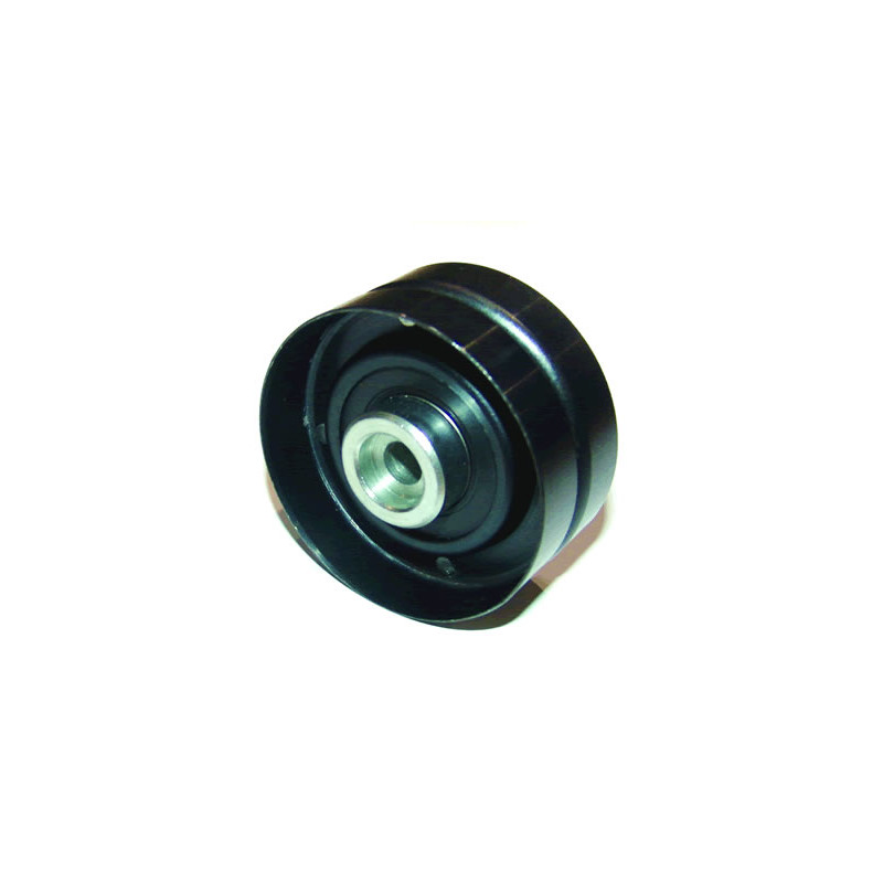 POLEA FIJA DE CORREA DE ACCESORIOS BTP 12103