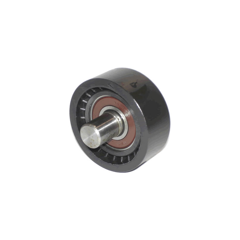 POLEA FIJA DE CORREA DE ACCESORIOS BTP 11027