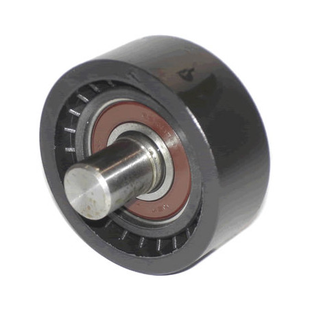 POLEA FIJA DE CORREA DE ACCESORIOS BTP 11027