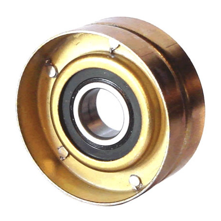 POLEA FIJA DE CORREA DE ACCESORIOS BTP 11034C