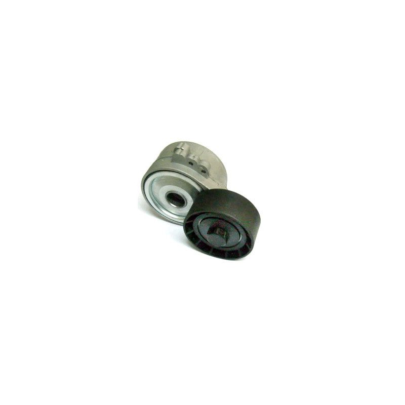 TENSOR DE CORREA DE ACCESORIOS BTP 12120