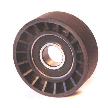 POLEA FIJA DE CORREA DE ACCESORIOS BTP 12123