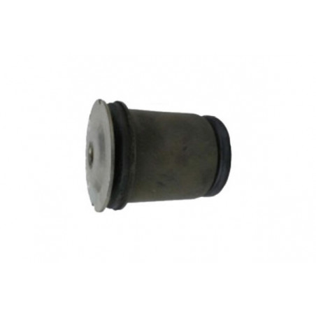 BUJE DE PUNTA DE EJE CAPEMI 1906