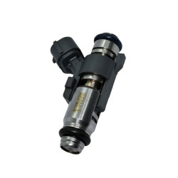 INYECTOR DE COMBUSTIBLE (NAFTA) HELLUX HE1PM018