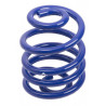 JUEGO DE RESORTES DE SUSPENSION (ESPIRALES) AG 213061K