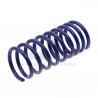 JUEGO DE RESORTES DE SUSPENSION (ESPIRALES) AG 071014K