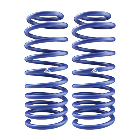 JUEGO DE RESORTES DE SUSPENSION (ESPIRALES) AG 251199K