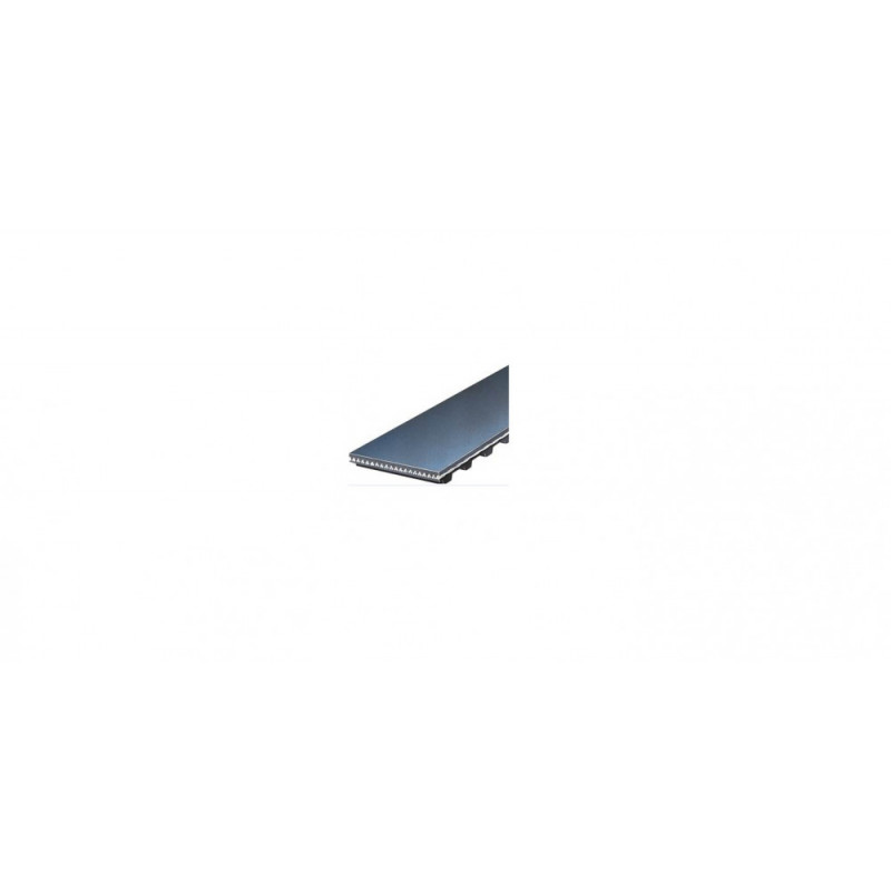 CORREA SINCRONICA DE DISTRIBUCION (DENTADA) GATES 40129x22XS