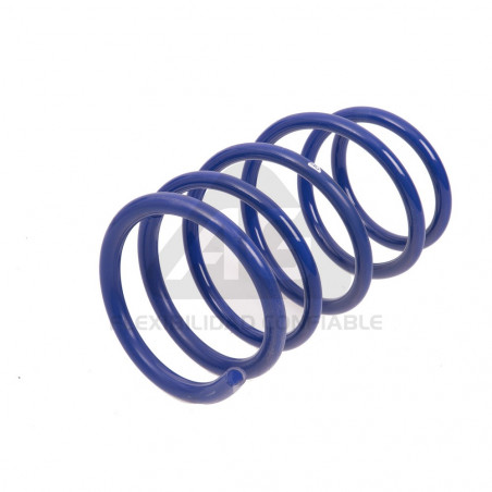 JUEGO DE RESORTES DE SUSPENSION (ESPIRALES) AG 213063K