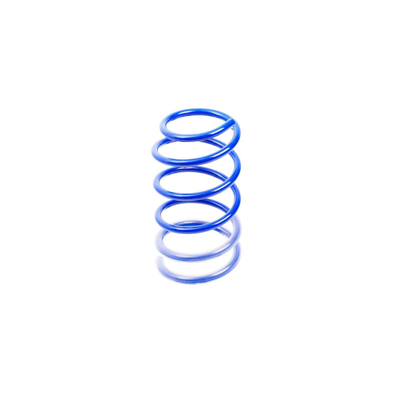 JUEGO DE RESORTES DE SUSPENSION (ESPIRALES) AG 213080