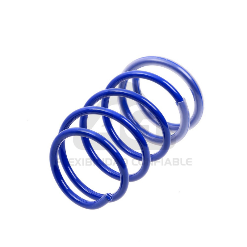 JUEGO DE RESORTES DE SUSPENSION (ESPIRALES) AG 213080K