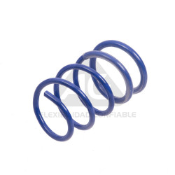 JUEGO DE RESORTES DE SUSPENSION (ESPIRALES) AG 213105K
