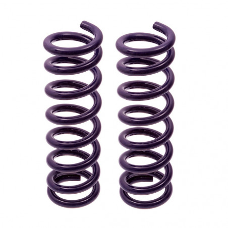 JUEGO DE RESORTES DE SUSPENSION (ESPIRALES) AG 4-072209W