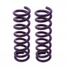 JUEGO DE RESORTES DE SUSPENSION (ESPIRALES) AG 4-072209W