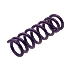 JUEGO DE RESORTES DE SUSPENSION (ESPIRALES) AG 4-072209W