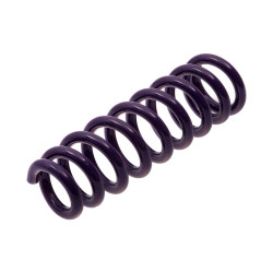 JUEGO DE RESORTES DE SUSPENSION (ESPIRALES) AG 4-235110W