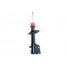 AMORTIGUADOR DE SUSPENSION EUROREPAR 1636524580