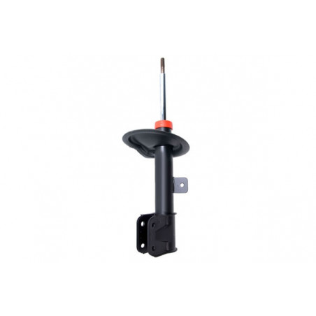 AMORTIGUADOR DE SUSPENSION EUROREPAR 1636524680