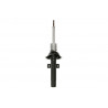AMORTIGUADOR DE SUSPENSION EUROREPAR 1636524780