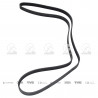 CORREA POLIV DE ACCESORIOS CONTINENTAL 5048/20