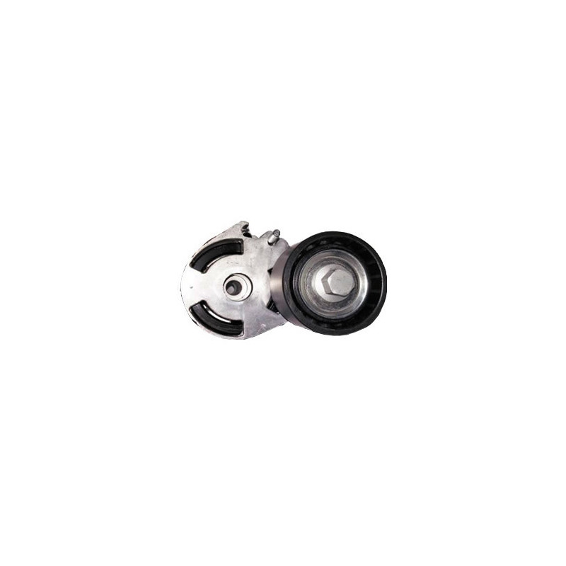TENSOR DE CORREA DE ACCESORIOS BTP 12131