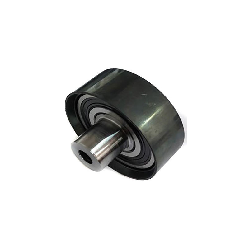 POLEA FIJA DE CORREA DE ACCESORIOS BTP 12134