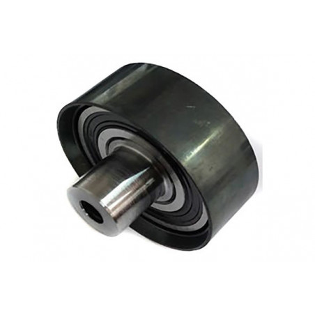 POLEA FIJA DE CORREA DE ACCESORIOS BTP 12134