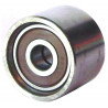 POLEA FIJA DE CORREA DE ACCESORIOS BTP 11063