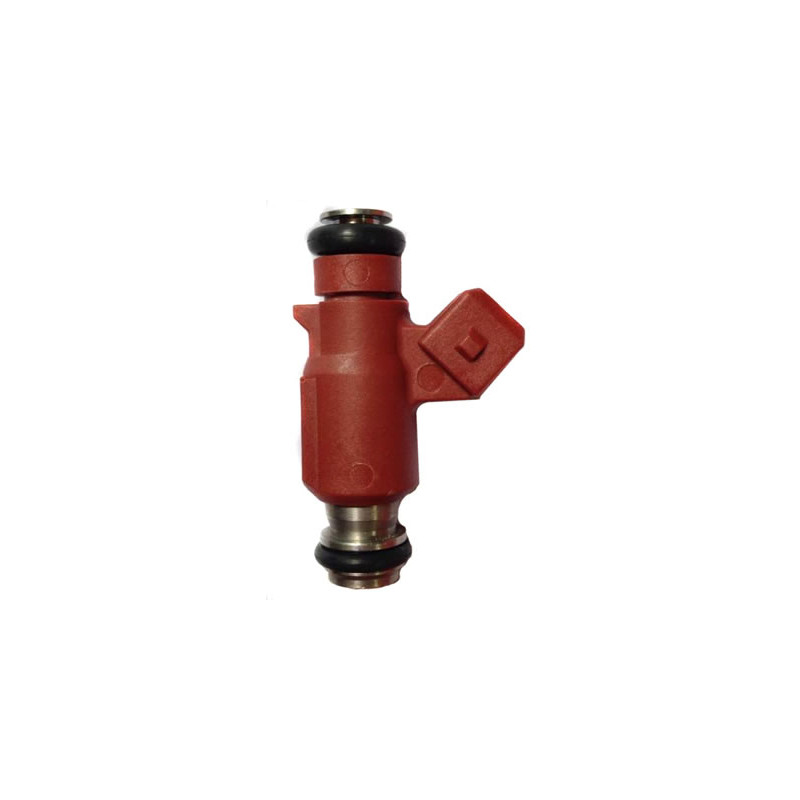 INYECTOR DE COMBUSTIBLE (NAFTA) DELPHI FJ10732