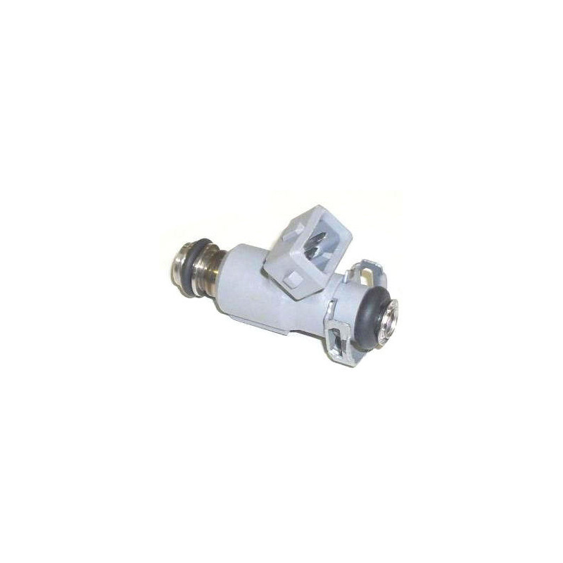 INYECTOR DE COMBUSTIBLE (NAFTA) DELPHI FJ10739