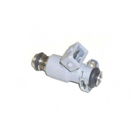 INYECTOR DE COMBUSTIBLE (NAFTA) DELPHI FJ10739