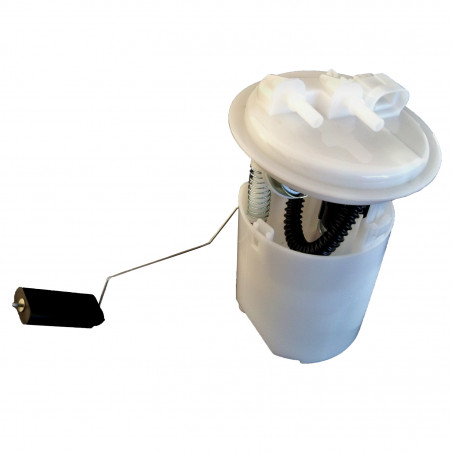 MODULO DE COMBUSTIBLE COMPLETO NAFTA (AFORADOR) HELLUX HE094