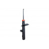 AMORTIGUADOR DE SUSPENSION EUROREPAR 1642997080