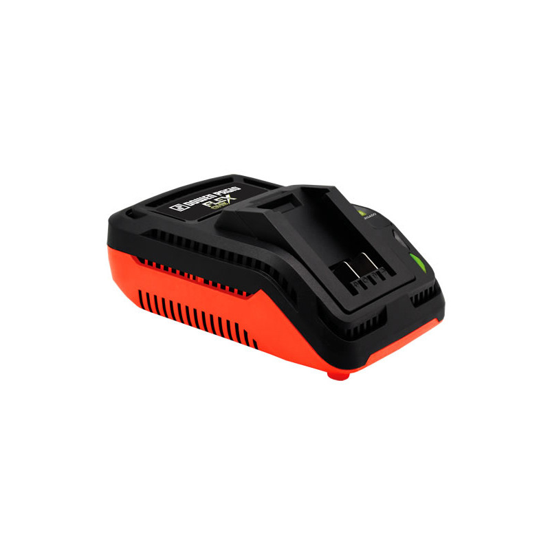 CARGADOR DE BATERIA DOWEN PAGIO 9998155