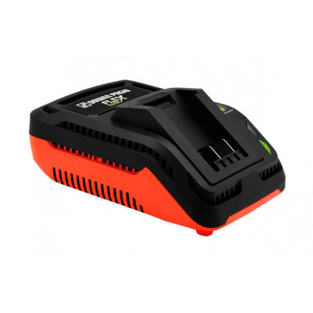 CARGADOR DE BATERIA DOWEN PAGIO 9998155