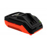 CARGADOR DE BATERIA DOWEN PAGIO 9998155