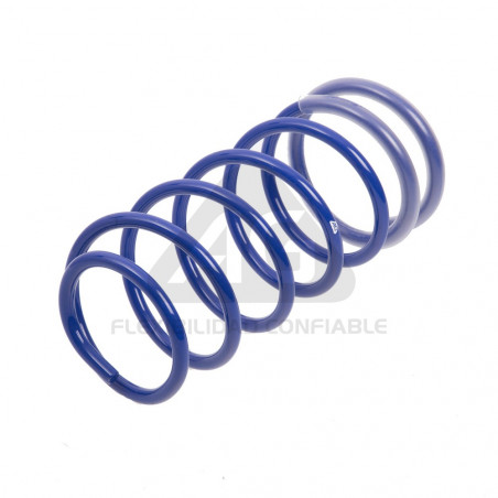 JUEGO DE RESORTES DE SUSPENSION (ESPIRALES) AG 251022K