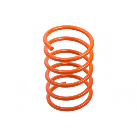 JUEGO DE RESORTES DE SUSPENSION (ESPIRALES) AG 251022X