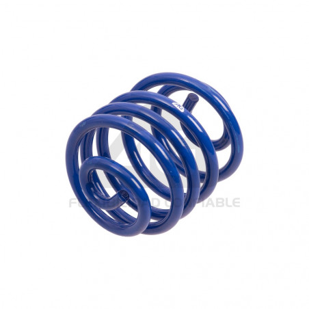 JUEGO DE RESORTES DE SUSPENSION (ESPIRALES) AG 041027K