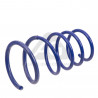 JUEGO DE RESORTES DE SUSPENSION (ESPIRALES) AG 071051K