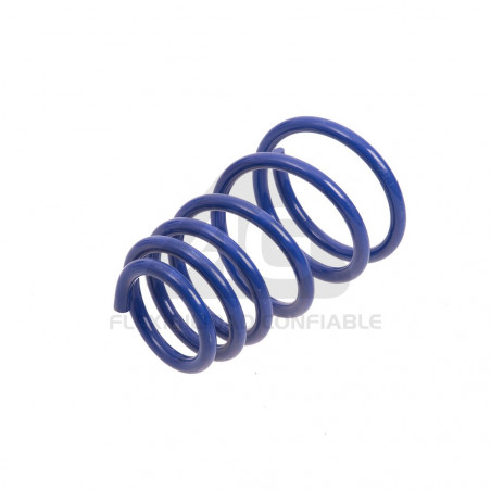 JUEGO DE RESORTES DE SUSPENSION (ESPIRALES) AG 071052K