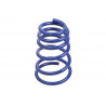 JUEGO DE RESORTES DE SUSPENSION (ESPIRALES) AG 071052K