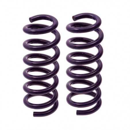 JUEGO DE RESORTES DE SUSPENSION (ESPIRALES) AG 4-251183W