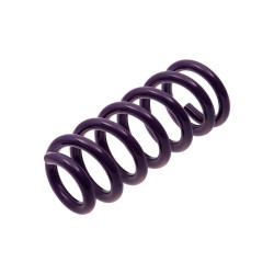 JUEGO DE RESORTES DE SUSPENSION (ESPIRALES) AG 4-251183W