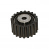 POLEA FIJA DE CORREA DE DISTRIBUCION SKF VKM 26125