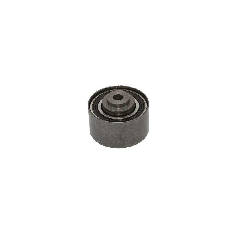 POLEA FIJA DE CORREA DE DISTRIBUCION SKF VKM 27405 H